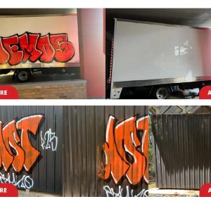 AGAR Graffiti Remover 5L GR5 Paint Stripper