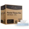 Entice Facial Tissue Box Paper - 2Ply 100 Sheets 48 Boxes (000420)