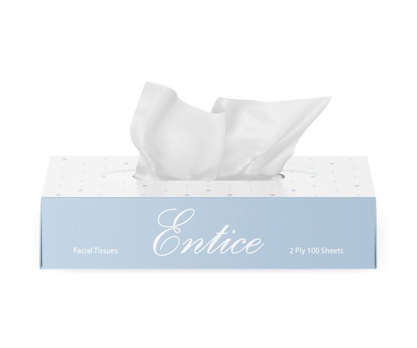 Entice Facial Tissue Box Paper - 2Ply 100 Sheets 48 Boxes (000420)