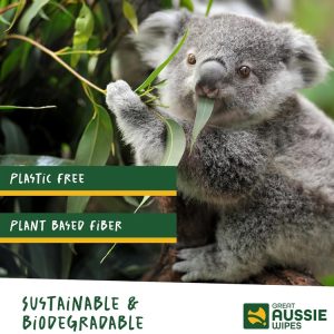 Large Size Textured Sustainable Wet Wipes Compostable and Plastic-Free Cleaning Wipes