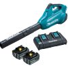 Makita 18Vx2 Brushless Turbo Blower Kit (DUB362PT2)