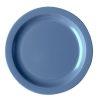 Ultra Durable Plate 25.4cm Narrow Rim Slate Blue